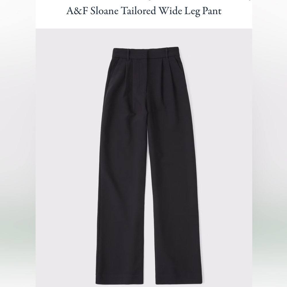 Abercrombie & Fitch Sloane Tailored Wide Leg Pant - Black